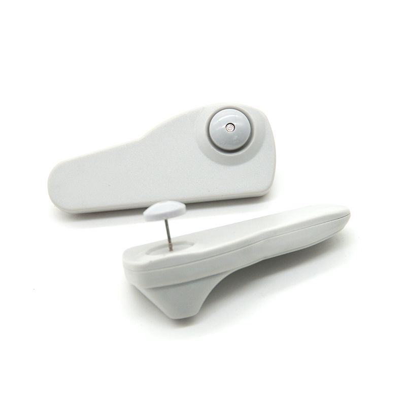 شرکت فروشگاهی ایمن شاپ شایا